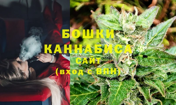 бошки Алексин