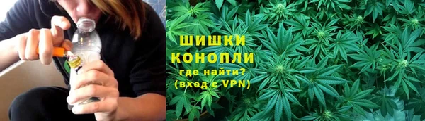 бошки Алексин
