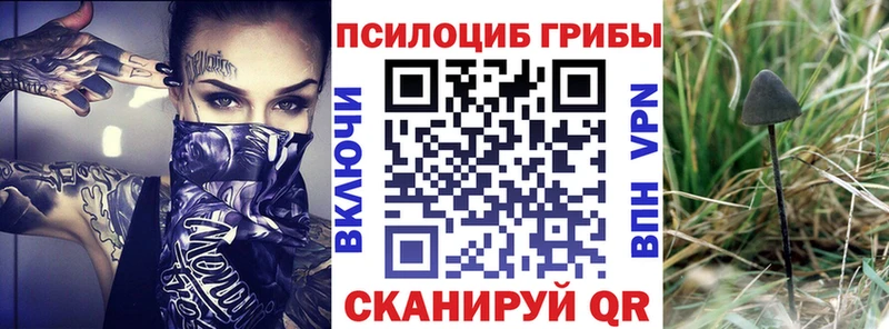 Псилоцибиновые грибы Psilocybe Шиханы